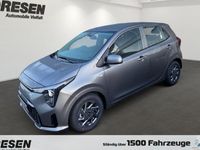 Neu Kia Picanto Vision 68 PS (50 kW) 2025 Grau Kleinwagen