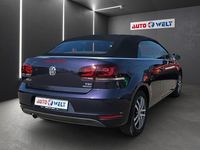 Gebraucht VW Golf Cabriolet Exclusive 105 PS (77 kW) 2012 Violet Cabrio