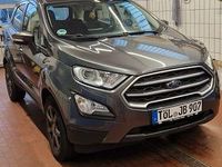 Gebraucht Ford Ecosport Trend 125 PS (91 kW) 2018 Grau SUV