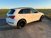 Gebraucht Audi Q5 179 PS (131 kW) 2010 Weiß SUV