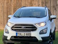 Gebraucht Ford Ecosport Cool & Connect 101 PS (74 kW) 2019 Weiß SUV