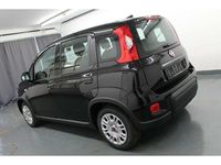 Gebraucht Fiat Panda 51 PS (37 kW) 2022 Schwarz Kleinwagen