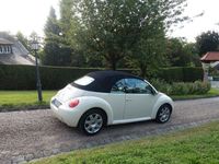 gebraucht VW Beetle 