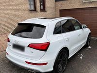 Gebraucht Audi SQ5 326 PS (239 kW) 2016 Weiß SUV