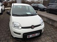 Gebraucht Fiat Panda 69 PS (50 kW) 2024 Weiß Limousine
