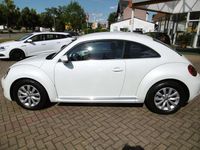 Gebraucht VW Beetle Design 105 PS (77 kW) 2014 Oryxweiss Kleinwagen