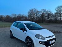 Gebraucht Fiat Punto 69 PS (50 kW) 2011 Weiß Kleinwagen