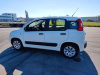 Occasion Fiat Panda Easy 69 ch (50 kW) 2017 Blanc Citadine