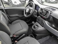 Neu Fiat Panda 69 PS (50 kW) 2025 Gelato weiß Limousine