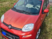 Gebraucht Fiat Panda 69 PS (50 kW) 2012 Rot Kleinwagen