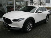 Gebraucht Mazda CX-30 Selection 150 PS (110 kW) 2020 Weiß SUV