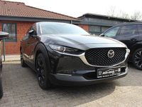 Gebraucht Mazda CX-30 Homura-Line 186 PS (136 kW) 2022 SUV