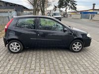 gebraucht Fiat Punto 1.2 8V Active