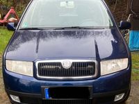 gebraucht Skoda Fabia 