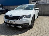 Gebraucht Skoda Octavia Scout 150 PS (110 kW) 2019 Weiß Kombi