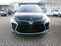 Neu Forthing Yacht/4 U-Tour 177 PS (130 kW) 2026 Schwarz Van / Kleinbus