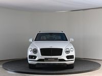 Brugt Bentley Bentayga 549 HK (403 kW) 2019 Hvid SUV