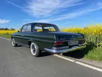 Gebraucht Mercedes 220 120 PS (88 kW) 1964 Grün Coupé