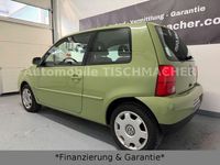 Gebraucht VW Lupo 75 PS (55 kW) 2001 Grün Kleinwagen