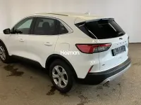 Gebraucht Ford Kuga Titanium X 190 PS (139 kW) 2020 Weiß SUV