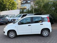 Gebraucht Fiat Panda Easy 69 PS (50 kW) 2020 Weiß Kleinwagen