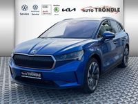Gebraucht Skoda Enyaq iV Suite 150 kW (204 PS) 2021 Blau SUV