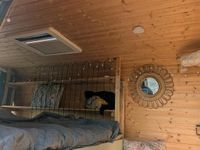 Gebraucht Renault Master 100 PS (73 kW) 2009 Weiß Van / Kleinbus