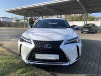 Gebraucht Lexus UX 184 PS (135 kW) 2023 SUV