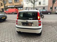 Gebraucht Fiat Panda Active 54 PS (39 kW) 2009 Weiß Kleinwagen
