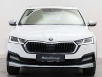 Gebraucht Skoda Octavia Scout 200 PS (147 kW) 2023 Candyweiß Kombi