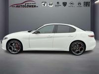 Neu Alfa Romeo Giulia Veloce 280 PS (205 kW) 2025 Bianco banchise, uni Limousine