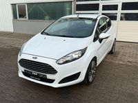 Gebraucht Ford Fiesta Trend 80 PS (58 kW) 2013 Weiß Kleinwagen