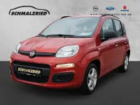 Gebraucht Fiat Panda 69 PS (50 kW) 2013 Rot Kleinwagen