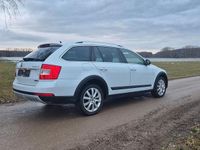 Gebraucht Skoda Octavia 179 PS (131 kW) 2016 Weiß Kleinwagen