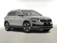 Neu Skoda Karoq Selection 150 PS (110 kW) 2025 Stahlgrau SUV