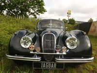 Gebraucht Jaguar XK 162 PS (119 kW) 1953 Grün Coupé