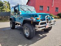 Gebraucht Jeep Wrangler 121 PS (88 kW) 1993 SUV