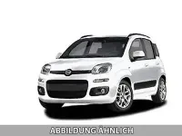 Neu Fiat Panda Icon 65 PS (47 kW) 2026 Gelb, giallo sole Kleinwagen