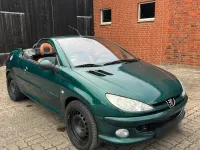 Używany Peugeot 206 110 KM (80 kW) 2006 Zielony Kabriolet