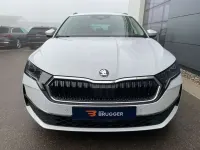 Neu Skoda Octavia Selection 150 PS (110 kW) 2025 Moonweiss metallic Kombi