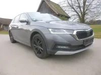 Gebraucht Skoda Octavia Scout Scout 4x4 200 PS (147 kW) 2023 Graphitegrau metallic Kombi