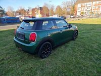 Gebraucht Mini ONE 102 PS (75 kW) 2019 Grün Kleinwagen