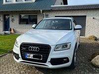 gebraucht Audi SQ5 Competition Quattro