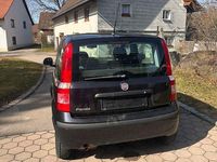 Gebraucht Fiat Panda 69 PS (50 kW) 2010 Schwarz Kleinwagen