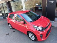 Gebraucht Kia Picanto Vision 92 PS (67 kW) 2021 Andere Kleinwagen