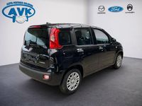 Neu Fiat Panda Icon 69 PS (50 kW) 2025 Colore esterno (cinema schwarz Kleinwagen