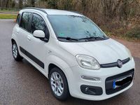 Gebraucht Fiat Panda 69 PS (50 kW) 2012 Weiß Kleinwagen