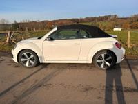 gebraucht VW Beetle 1.4 TSI DSG BMT ALLSTAR Cabriolet ALLSTAR
