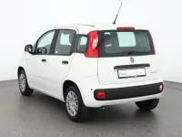 Neu Fiat Panda Connect 71 PS (52 kW) 2025 Weiß Kleinwagen