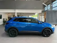 Gebraucht Opel Grandland X Dynamic 120 PS (88 kW) 2018 Topas blau (metallic) SUV